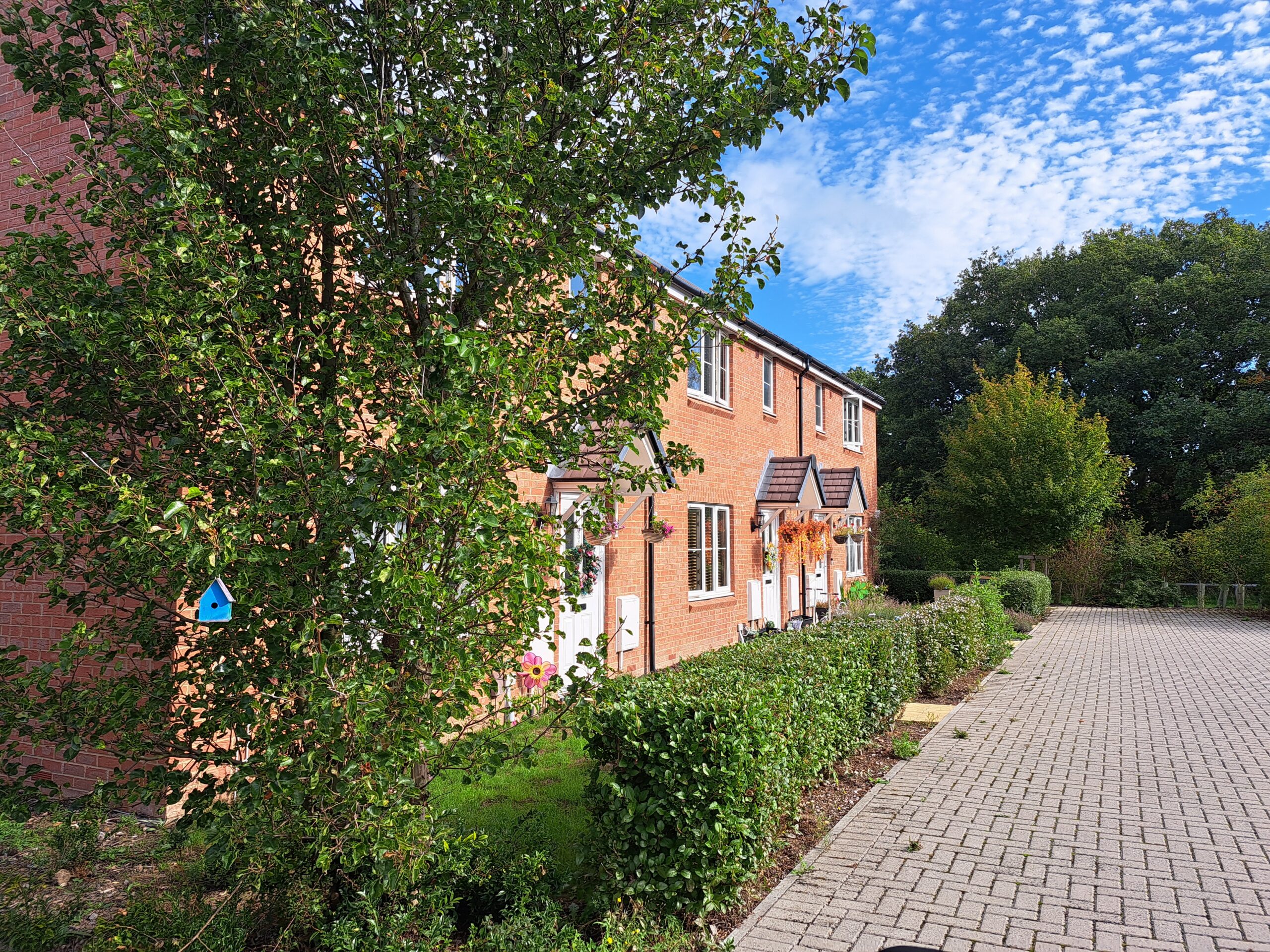 Brick row houses with front doors, surrounded by trimmed hedges and flowering plants under a blue sky with scattered clouds.