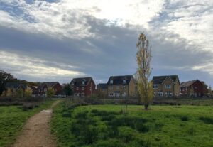 Dirt path winds through a grassy field toward a row of modern houses under a cloudy sky and a tall tree in the foreground