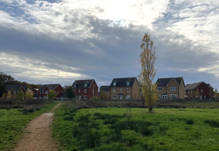Dirt path winds through a grassy field toward a row of modern houses under a cloudy sky and a tall tree in the foreground