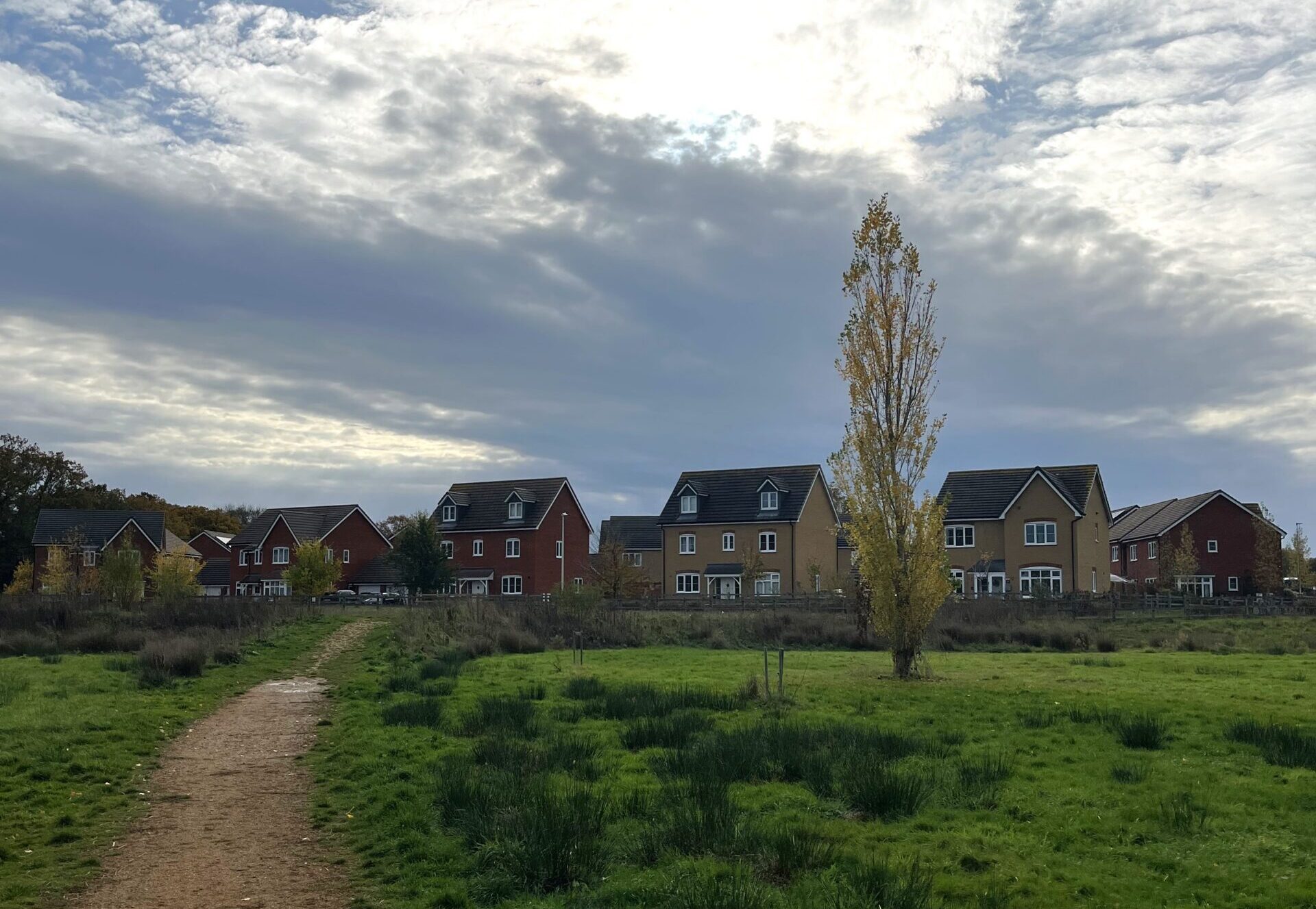 Dirt path winds through a grassy field toward a row of modern houses under a cloudy sky and a tall tree in the foreground.