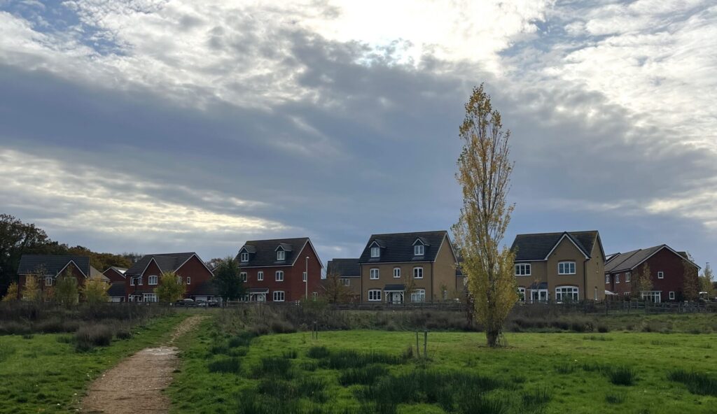 Dirt path winds through a grassy field toward a row of modern houses under a cloudy sky and a tall tree in the foreground.