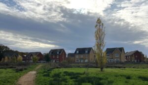 Dirt path winds through a grassy field toward a row of modern houses under a cloudy sky and a tall tree in the foreground