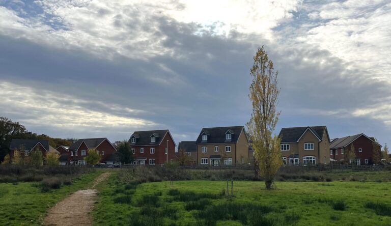 Dirt path winds through a grassy field toward a row of modern houses under a cloudy sky and a tall tree in the foreground